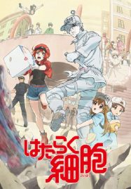 ดูอนิเมะฟรี Hataraku Saibou เซลล์ขยันพันธุ์เดือด ภาค 1