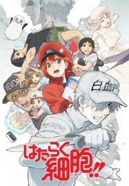 ดูอนิเมะฟรี Hataraku Saibou!! เซลล์ขยัน พันธุ์เดือด ภาค 2