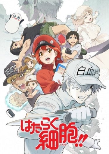 ดูอนิเมะออนไลน์ Hataraku Saibou!! เซลล์ขยัน พันธุ์เดือด ภาค 2