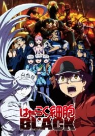 ดูอนิเมะฟรี Hataraku Saibou Black เซลล์ขยัน พันธุ์เดือด แบล็ค