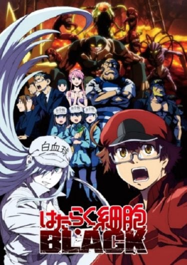 ดูอนิเมะออนไลน์ Hataraku Saibou Black เซลล์ขยัน พันธุ์เดือด แบล็ค